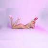 riaraexo Altpins Profile Picture