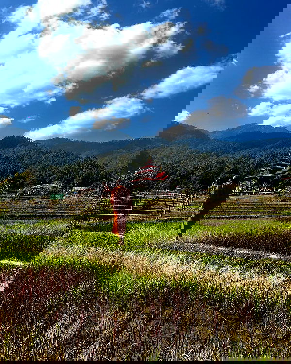 rivkavel rivkavel archive image