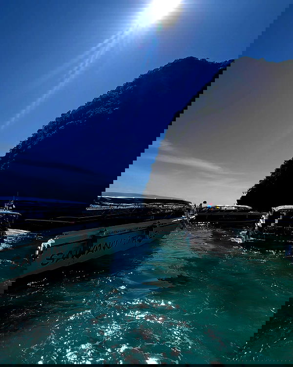 rivkavel rivkavel archive image