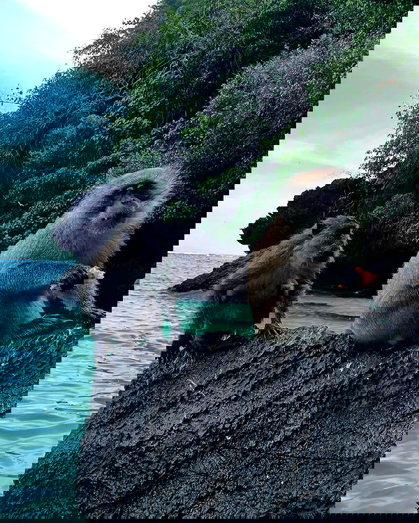 rivkavel rivkavel archive image