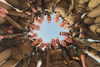 rommy_banouz Altpins Profile Picture
