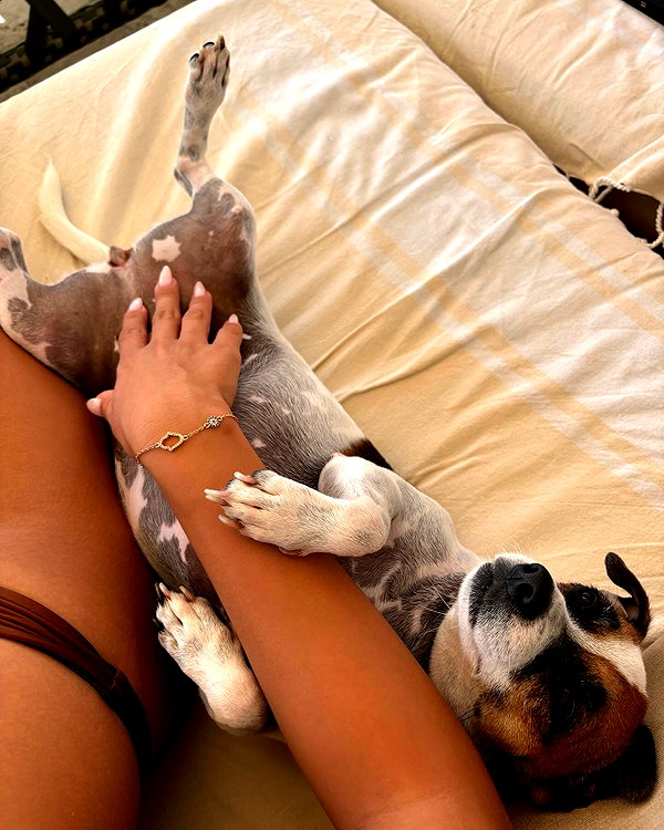 romy.benshushan instagram image archive image