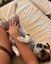 romy.benshushan Altpins Profile Picture