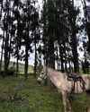 romy.benshushan Altpins Profile Picture