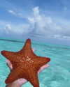 romy.benshushan Altpins Profile Picture