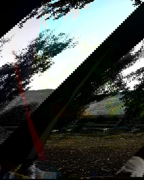 romy_ayalla_lavi romy_ayalla_lavi archive image