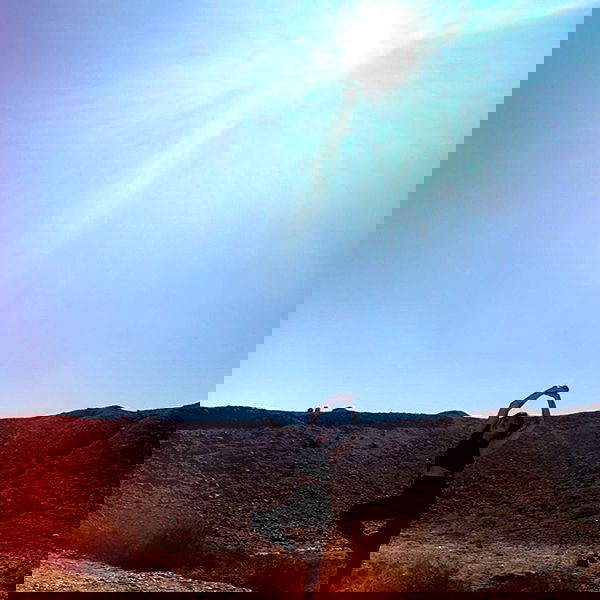 romy_ayalla_lavi romy_ayalla_lavi archive image