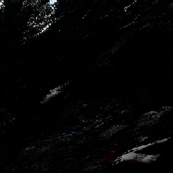 romy_ayalla_lavi romy_ayalla_lavi archive image