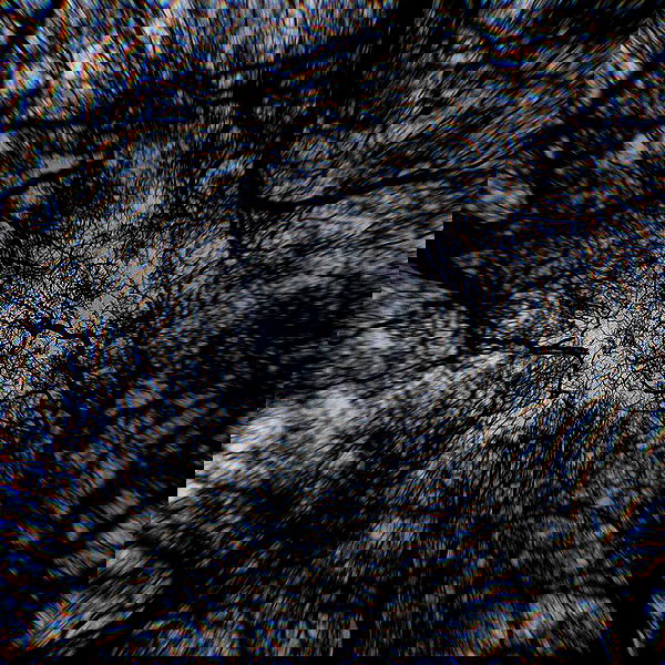 romy_ayalla_lavi romy_ayalla_lavi archive image