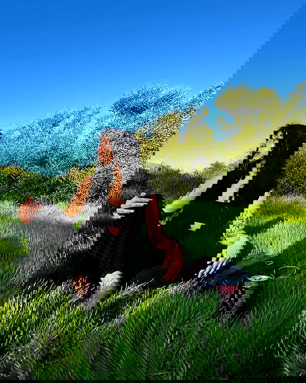 romy_ayalla_lavi romy_ayalla_lavi archive image