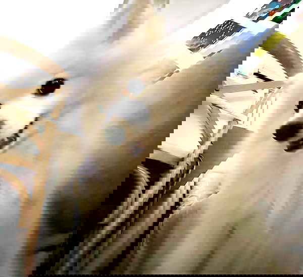 romy_ayalla_lavi romy_ayalla_lavi archive image