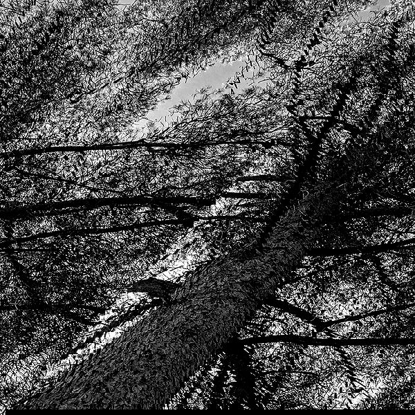 romy_ayalla_lavi romy_ayalla_lavi archive image