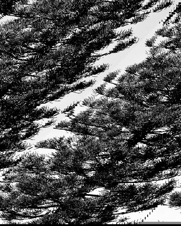 romy_ayalla_lavi romy_ayalla_lavi archive image