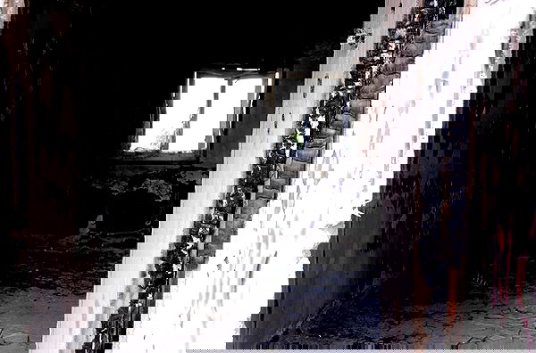 romy_ayalla_lavi romy_ayalla_lavi archive image