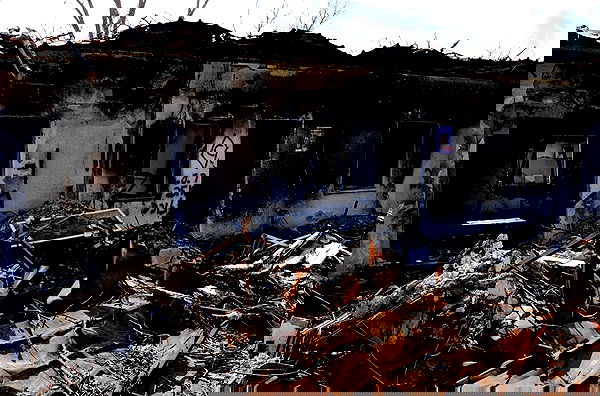 romy_ayalla_lavi romy_ayalla_lavi archive image