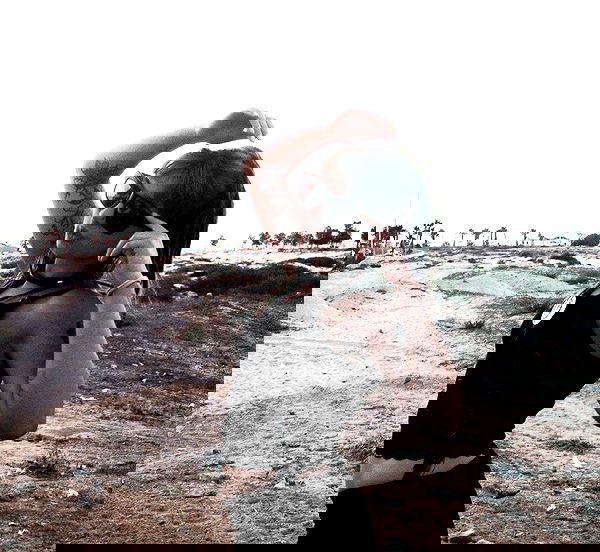 romy_ayalla_lavi romy_ayalla_lavi archive image