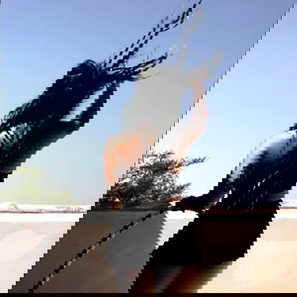 romy_ayalla_lavi romy_ayalla_lavi archive image