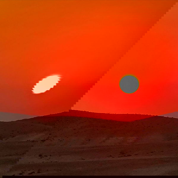 romy_ayalla_lavi romy_ayalla_lavi archive image