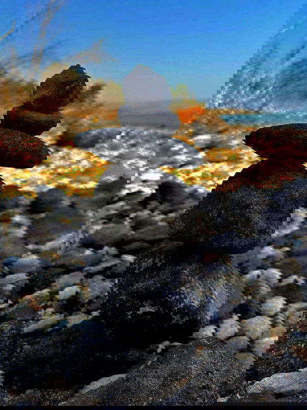 romy_ayalla_lavi romy_ayalla_lavi archive image