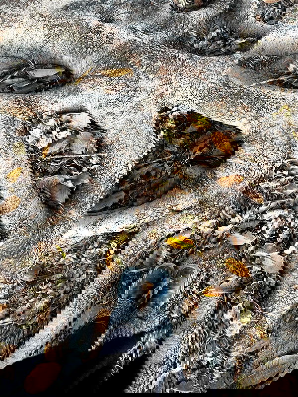 romy_ayalla_lavi romy_ayalla_lavi archive image