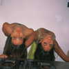romy_gavriel_2 Altpins Profile Picture