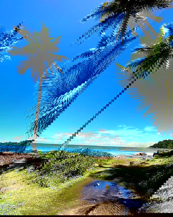 roni__moalem image ~ Altpins