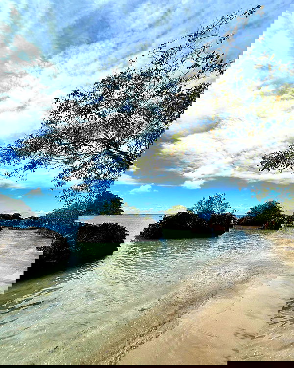 roni__moalem image ~ Altpins