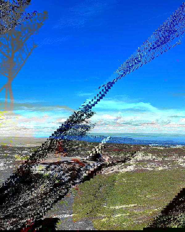 roni__moalem image ~ Altpins