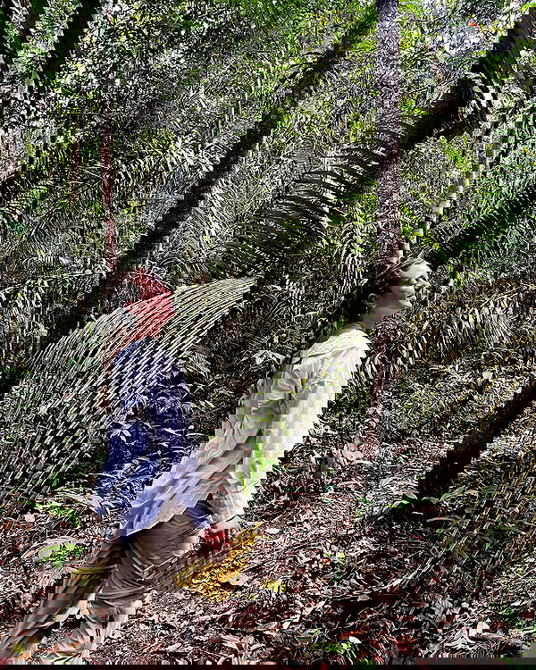 roni__moalem image ~ Altpins