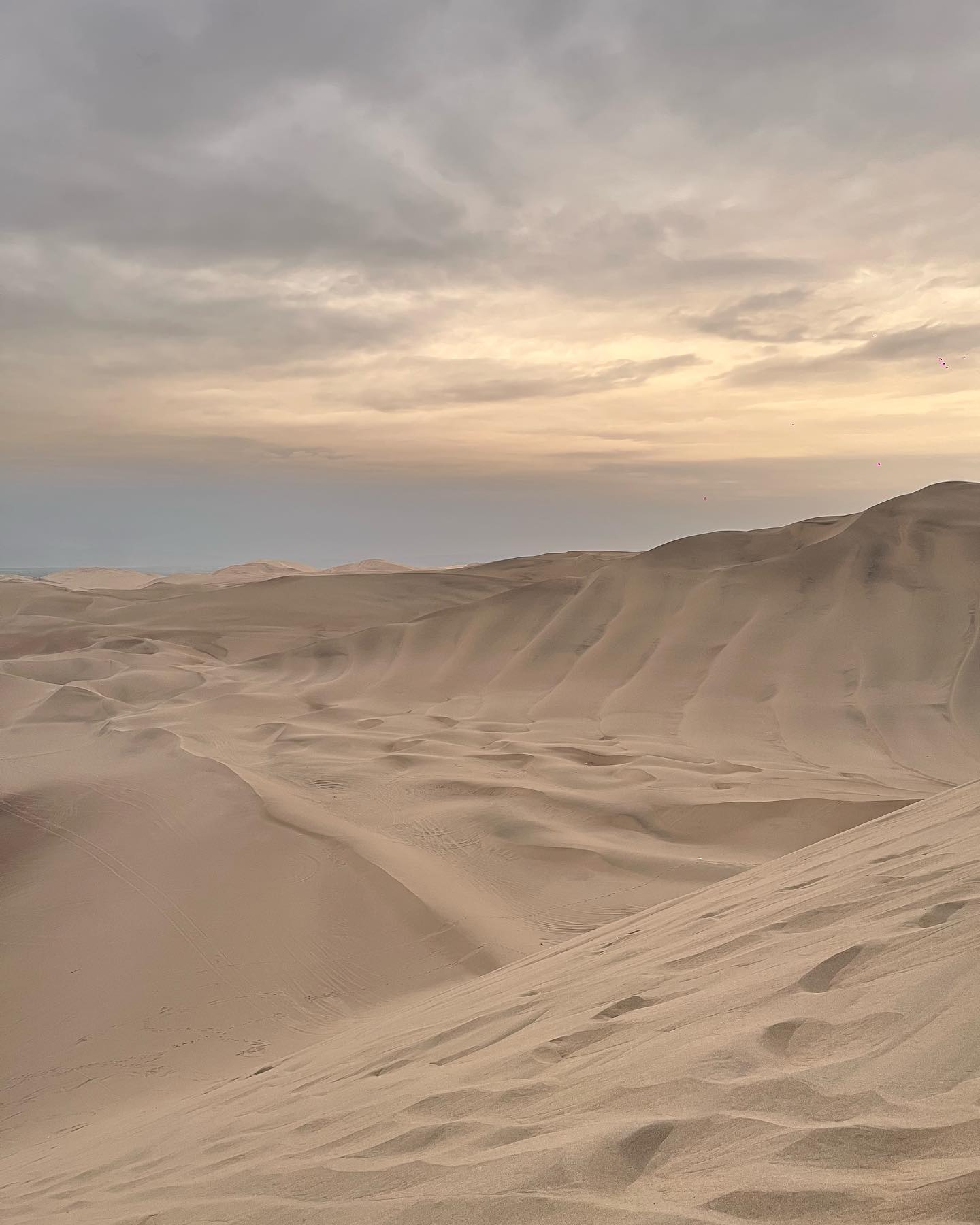 roni__moalem instagram image archive image