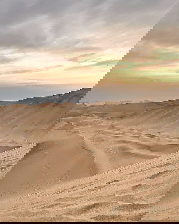 roni__moalem image ~ Altpins