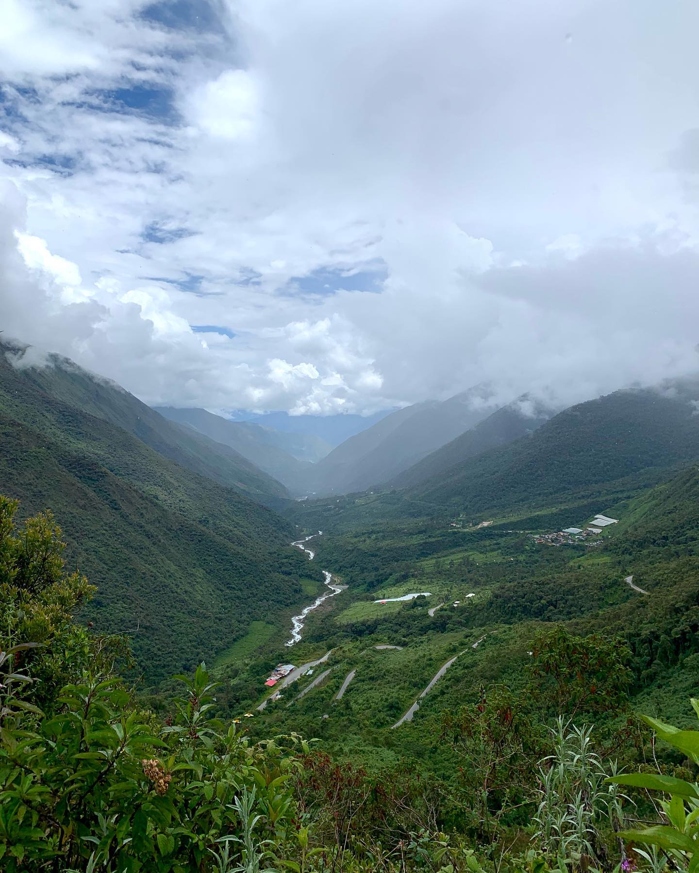 roni__moalem instagram image archive image