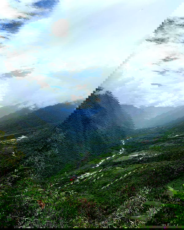 roni__moalem image ~ Altpins