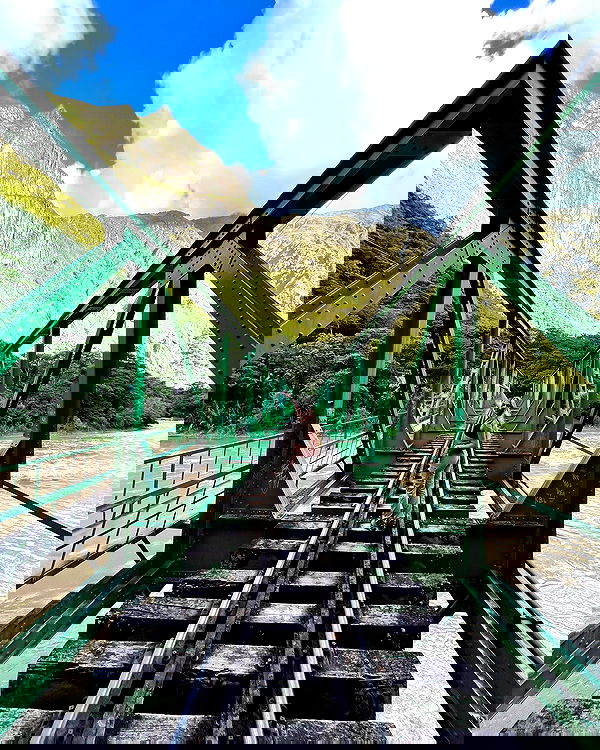 roni__moalem image ~ Altpins