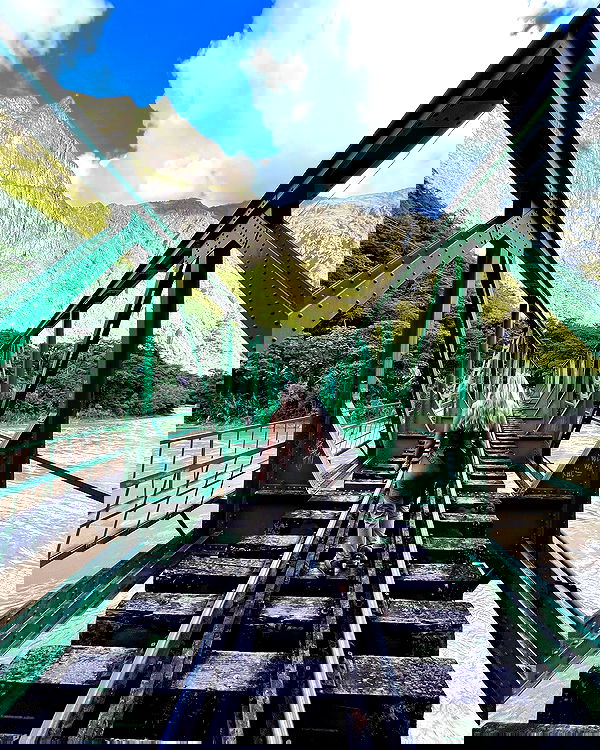 roni__moalem image ~ Altpins