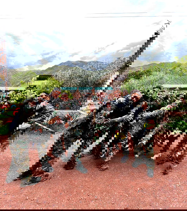 roni__moalem image ~ Altpins