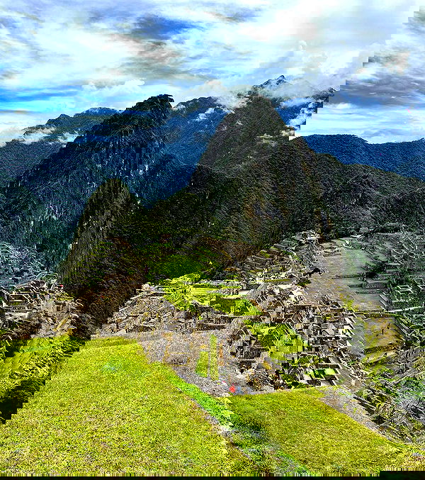 roni__moalem image ~ Altpins