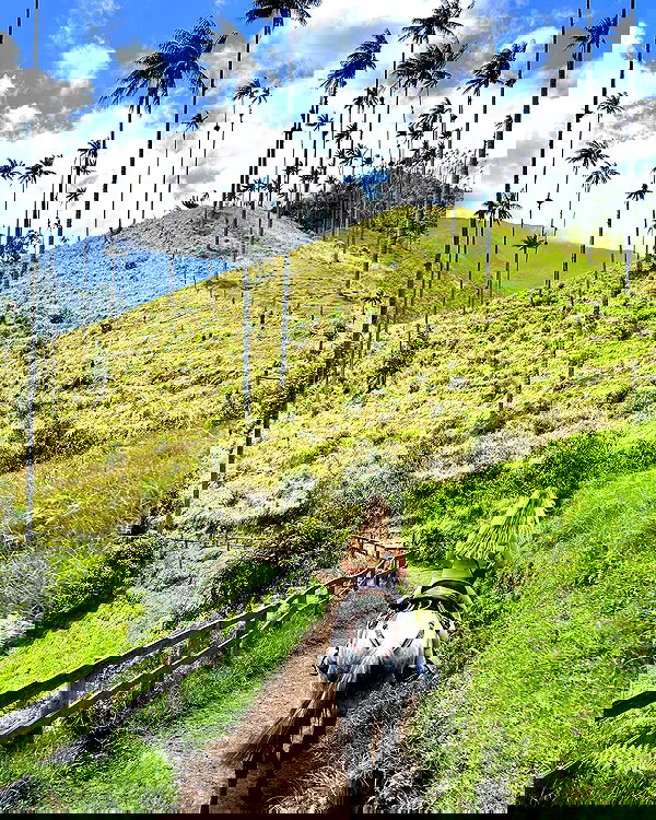 roni__moalem image ~ Altpins