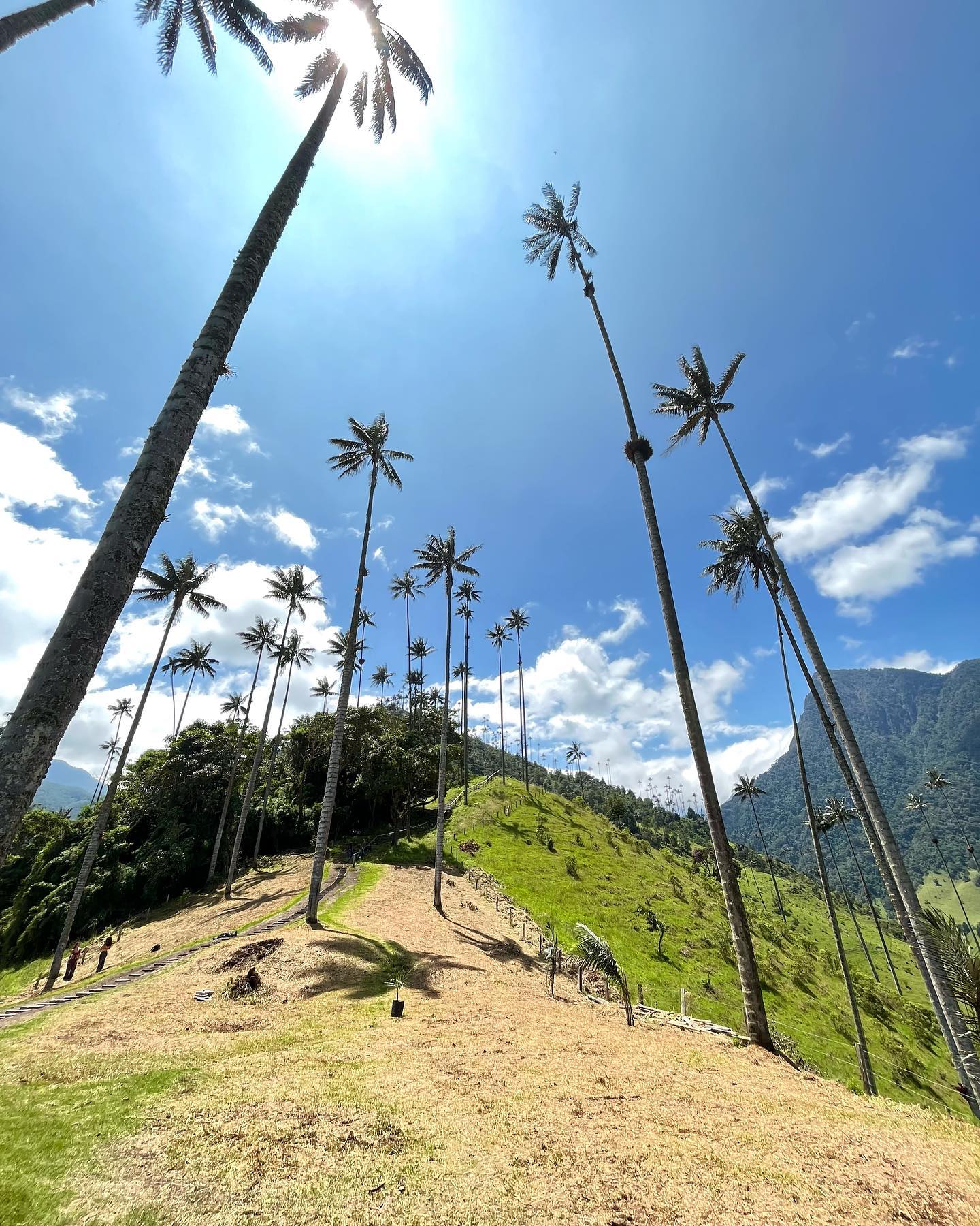 roni__moalem instagram image archive image