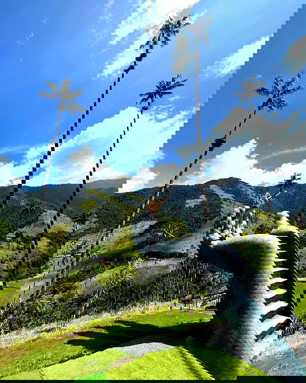 roni__moalem image ~ Altpins