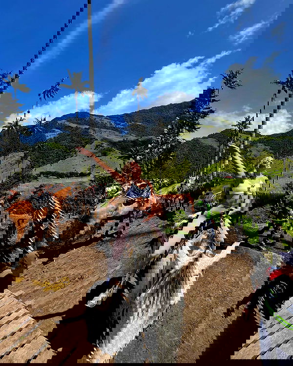 roni__moalem image ~ Altpins