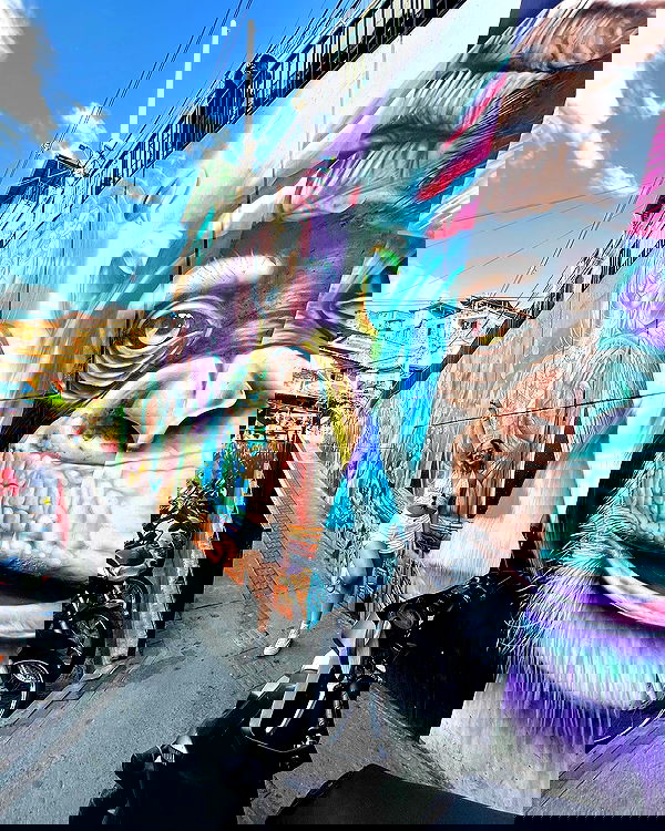 roni__moalem image ~ Altpins