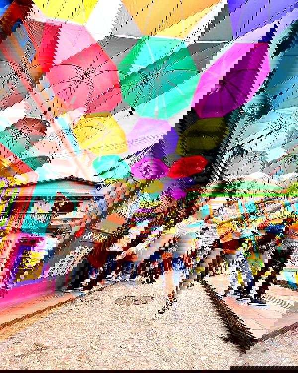 roni__moalem image ~ Altpins