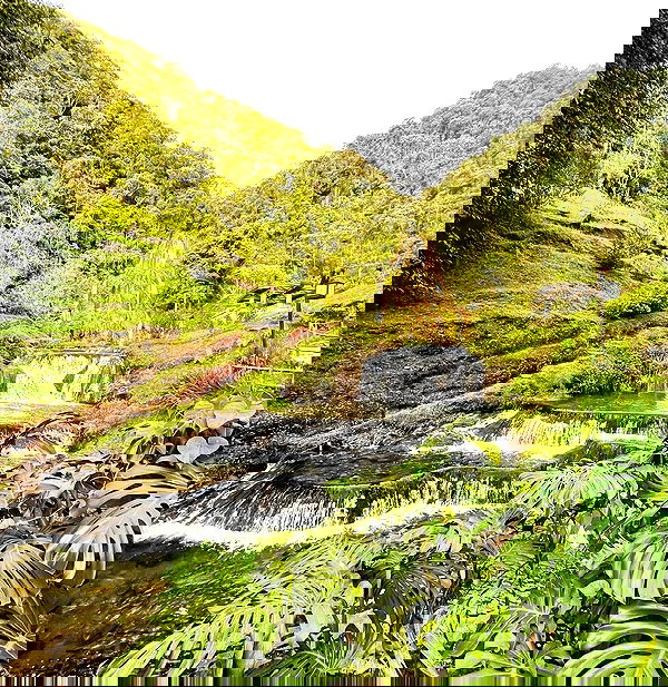 roni__moalem image ~ Altpins