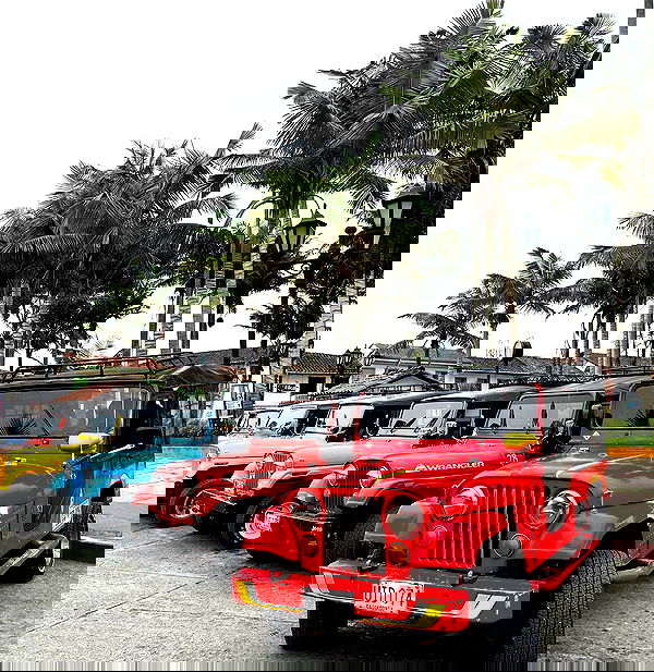 roni__moalem image ~ Altpins