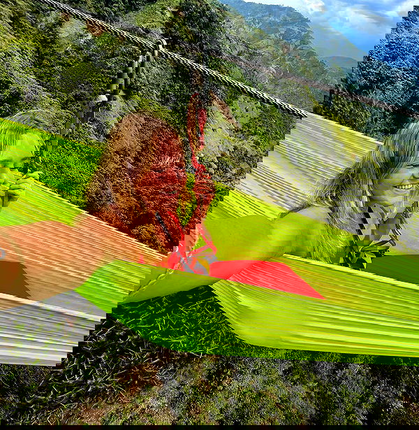 roni__moalem image ~ Altpins