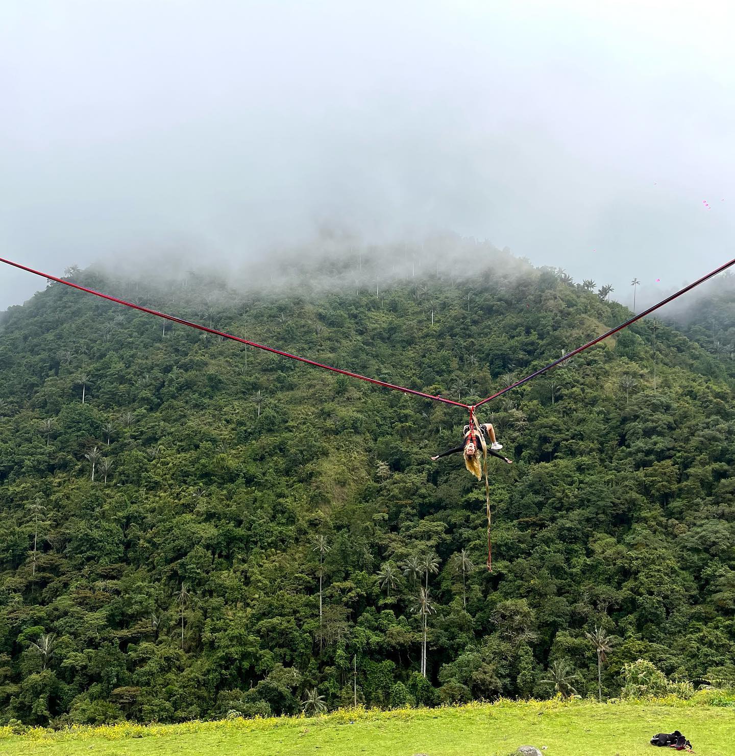 roni__moalem instagram image archive image