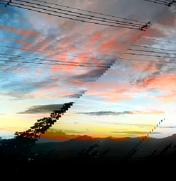 roni__moalem image ~ Altpins