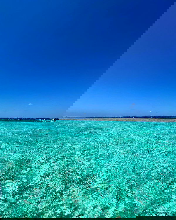 roni__moalem image ~ Altpins