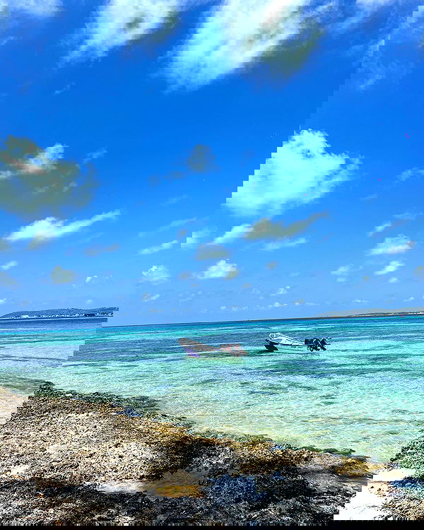 roni__moalem image ~ Altpins